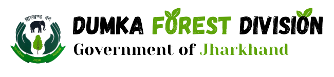Dumka Forest Division